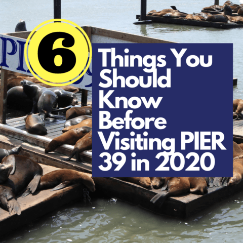 6 Things You Should Know Before Visiting PIER 39