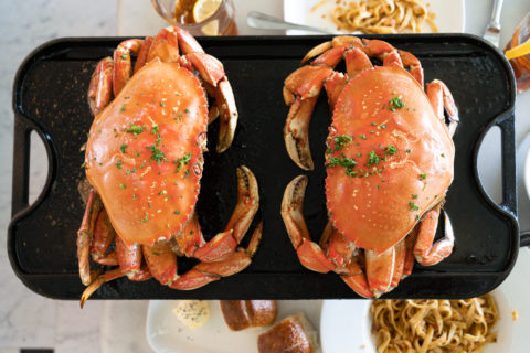 two dungeness crabs