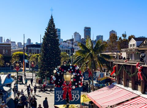 5 FREE Festive Things to do on Pier 39 this Holiday Season