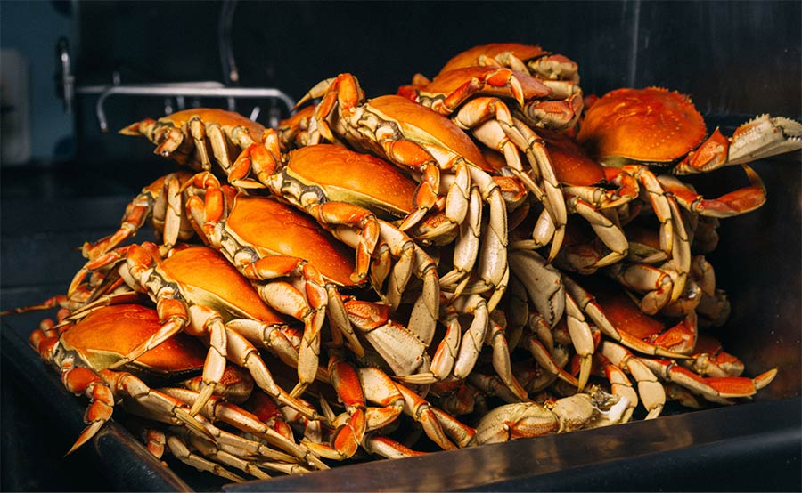 Several Dungeness crabs stacked on top of each other at the best crab restaurant in San Francisco